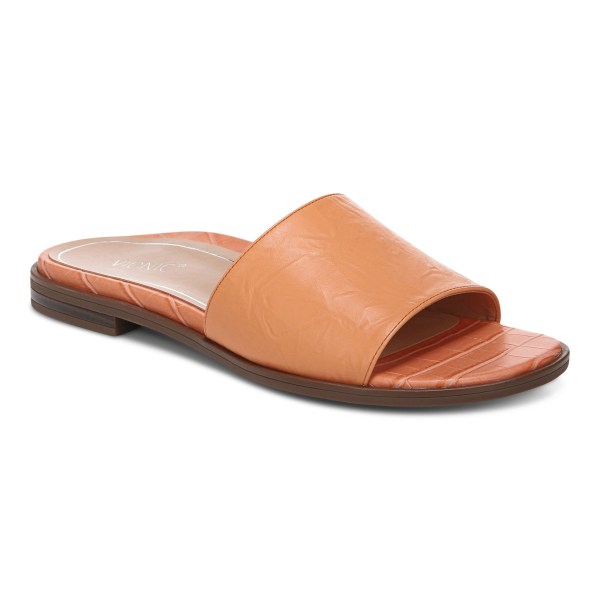 Vionic Sandals Ireland - Demi Slide Sandal Brown - Womens Shoes On Sale | SNJFZ-2573